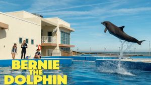 Bernie The Dolphin's poster