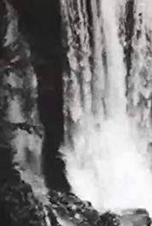 Water Fall in the Catskills's poster