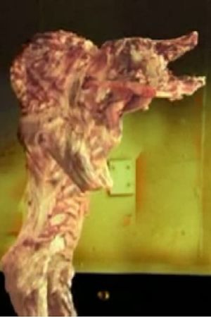 The Pig Walks's poster