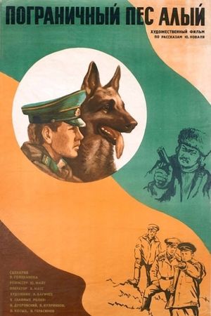 Border dog Alyi's poster