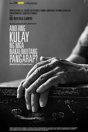 Ano ang kulay ng mga nakalimutang pangarap?'s poster