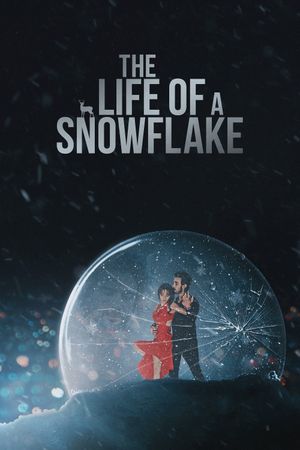 The Life of a Snowflake's poster