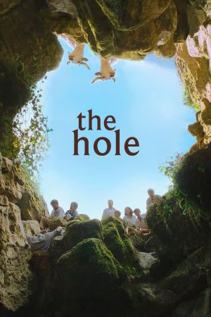 The Hole's poster