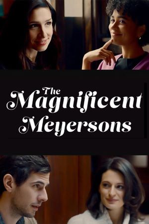 The Magnificent Meyersons's poster