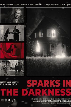 Sparks in the darkness's poster