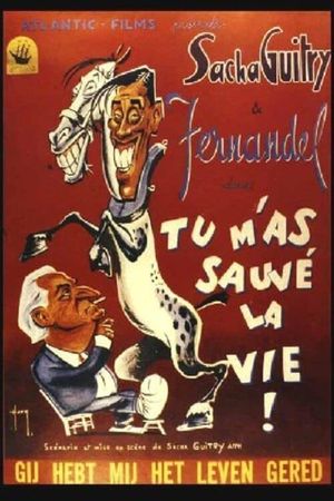 Tu m'as sauvé la vie's poster