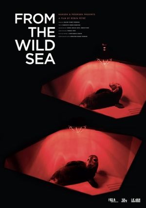 From the Wild Sea's poster