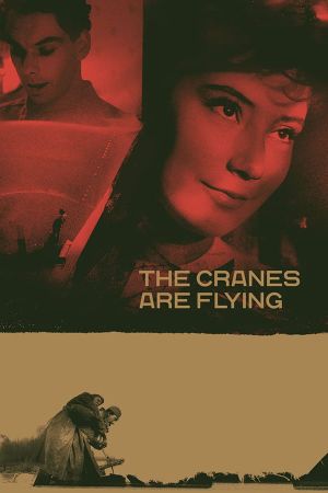 The Cranes Are Flying's poster