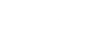 The United States of Insanity's poster