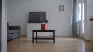 Das Perfekte Geschenk's poster