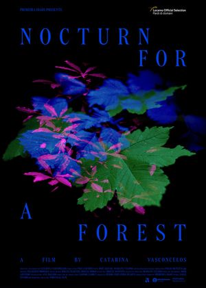 Nocturne for a Forest's poster