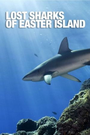 Lost Sharks of Easter Island's poster image