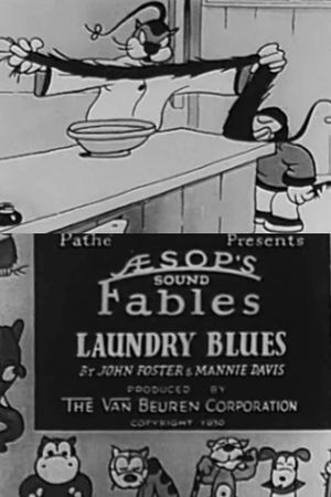 Laundry Blues's poster image