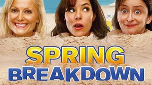 Spring Breakdown's poster