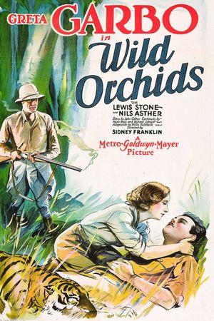 Wild Orchids's poster