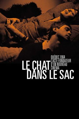 The Cat in the Bag's poster