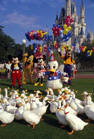 Donald Duck's 50th Birthday's poster