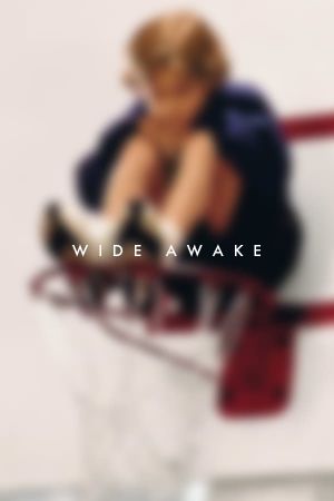 Wide Awake's poster