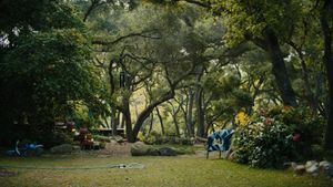 Beautiful Boy's poster