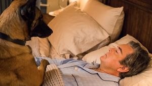 Psych 2: Lassie Come Home's poster