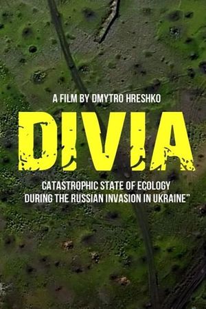 Divia's poster