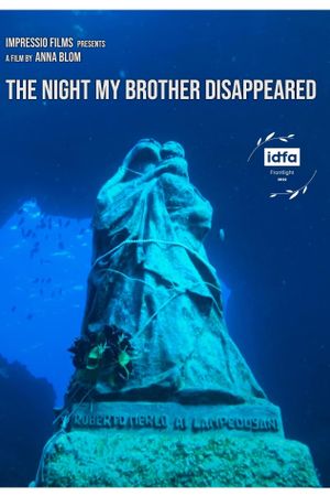 The Night My Brother Disappeared's poster image