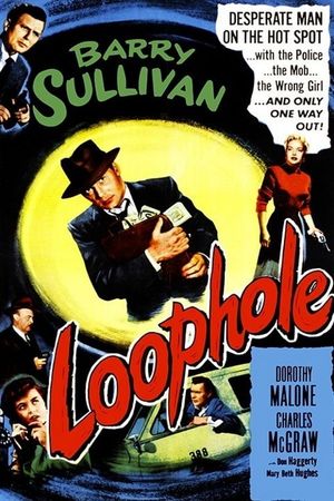 Loophole's poster image