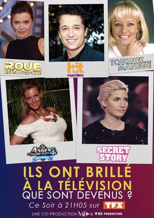 Ils ont brillé à la télé : que sont-ils devenus ?'s poster image