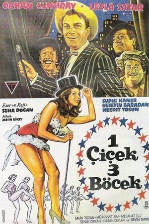 Bir çiçek üç böcek's poster