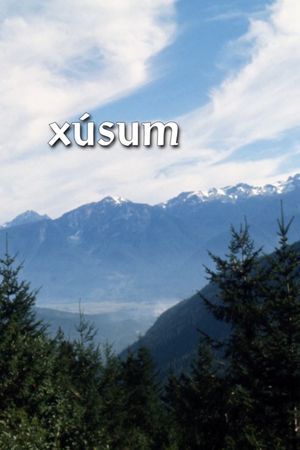 Xusum's poster