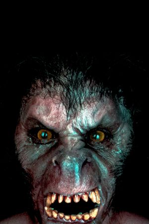 An American Werewolf in London's poster
