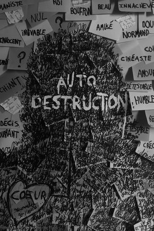 Autodestruction's poster