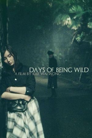 Days of Being Wild's poster