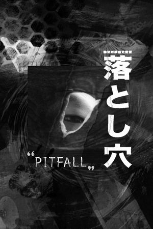 Pitfall's poster