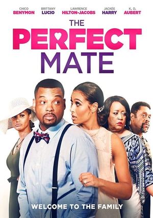 The Perfect Mate's poster image