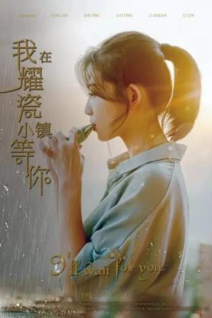 I'll Wait for You's poster image