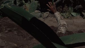 Bring Me the Head of Alfredo Garcia's poster