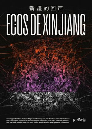 Echoes from Xinjiang's poster