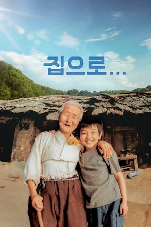 The Way Home's poster