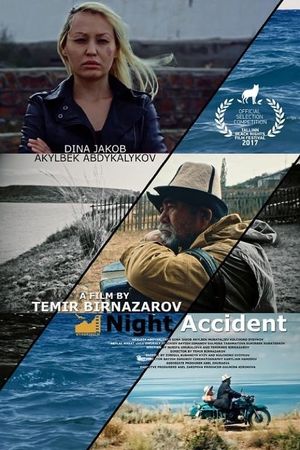 Night Accident's poster