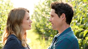 Love Under the Olive Tree's poster