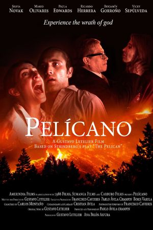 Pelícano's poster image