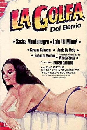 La golfa del barrio's poster