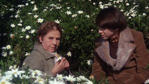 Harold and Maude's poster