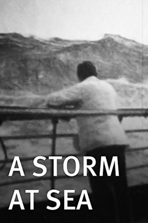 A Storm at Sea's poster