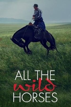 All the Wild Horses's poster image