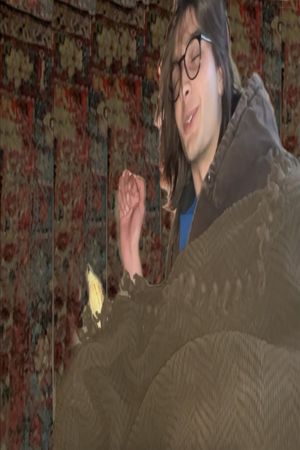 Bird Stomach's poster
