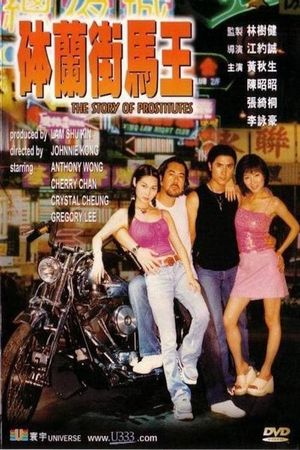 Story of Prostitutes's poster