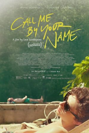 Call Me by Your Name's poster