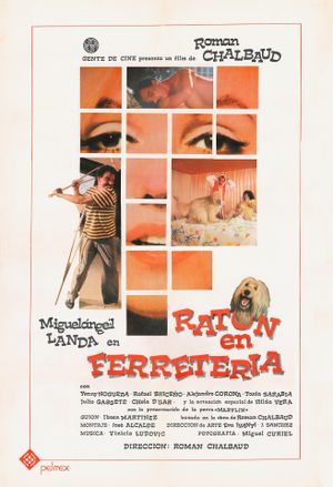 Ratón de ferretería's poster image